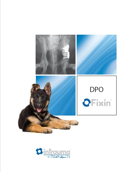 skills_aid_intrauma_dpo_fixin_commercial