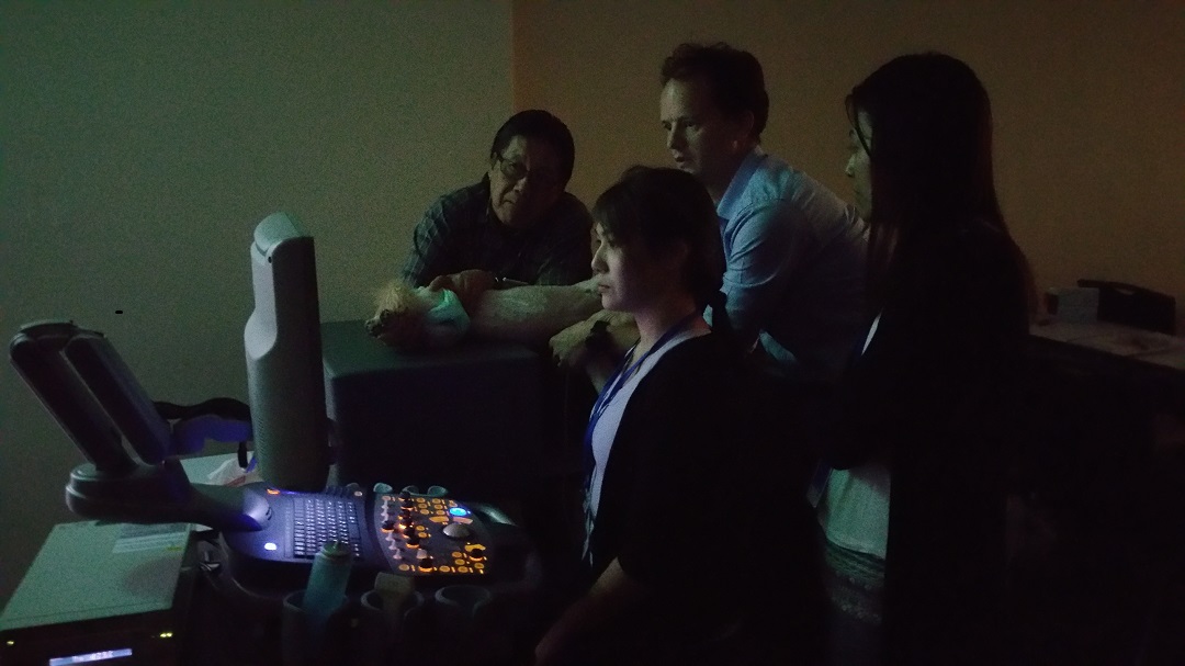 skillsaid_singapore_echocardiology_training_practical_0003