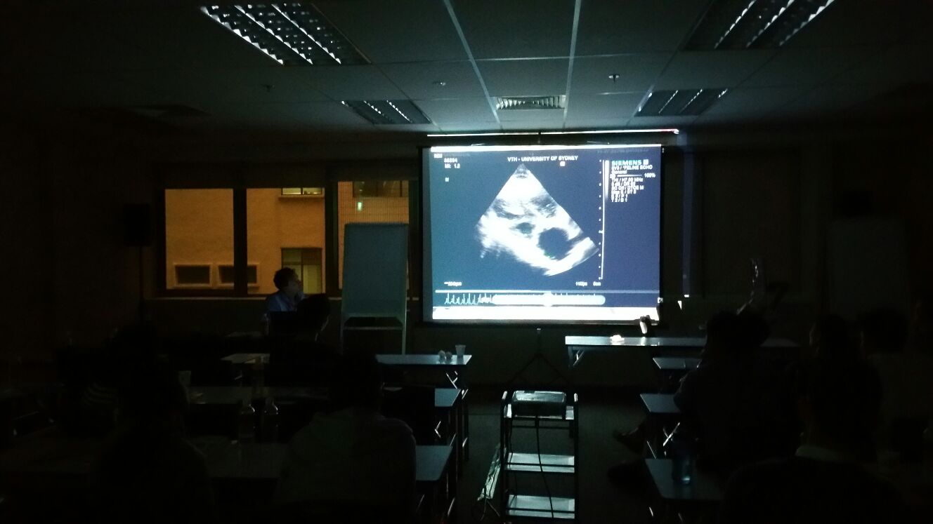 skillsaid_singapore_echocardiology_training_practical_0008