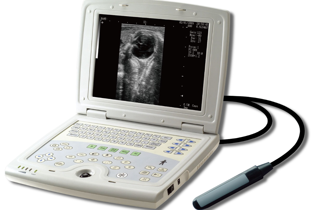 Learning Ultrasound for Veterinarians