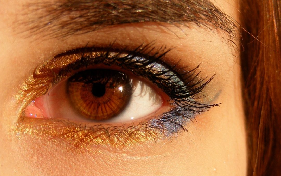 Clinical Reasoning: A Veterinary Essential